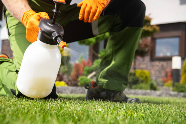 Best Flea Control Services  in North Scituate, MA