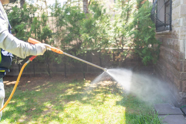 Best Pest Control Near Me  in North Scituate, MA