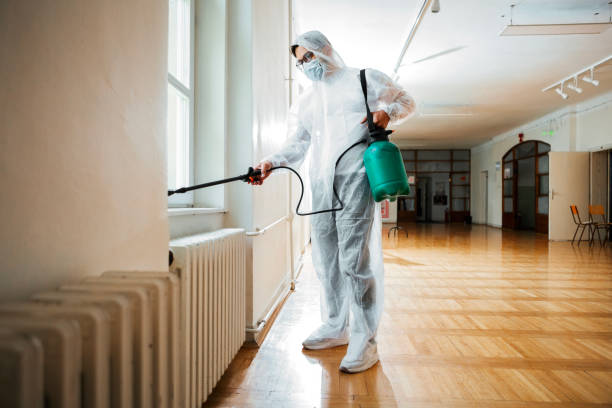 Best Pest Control Near Me  in North Scituate, MA