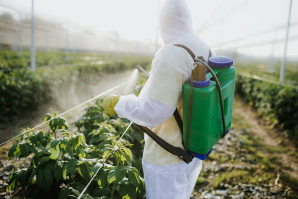 Best Wasp Removal Services  in North Scituate, MA